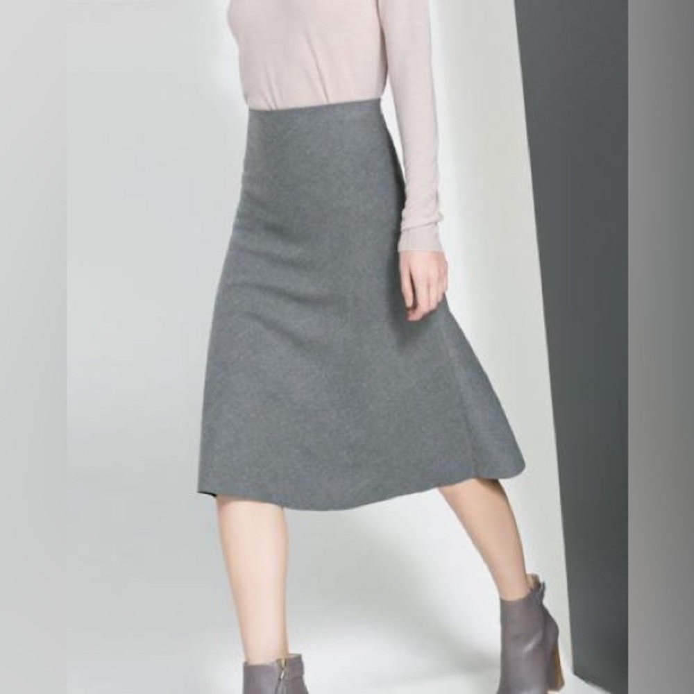 Zara ALine Skirt